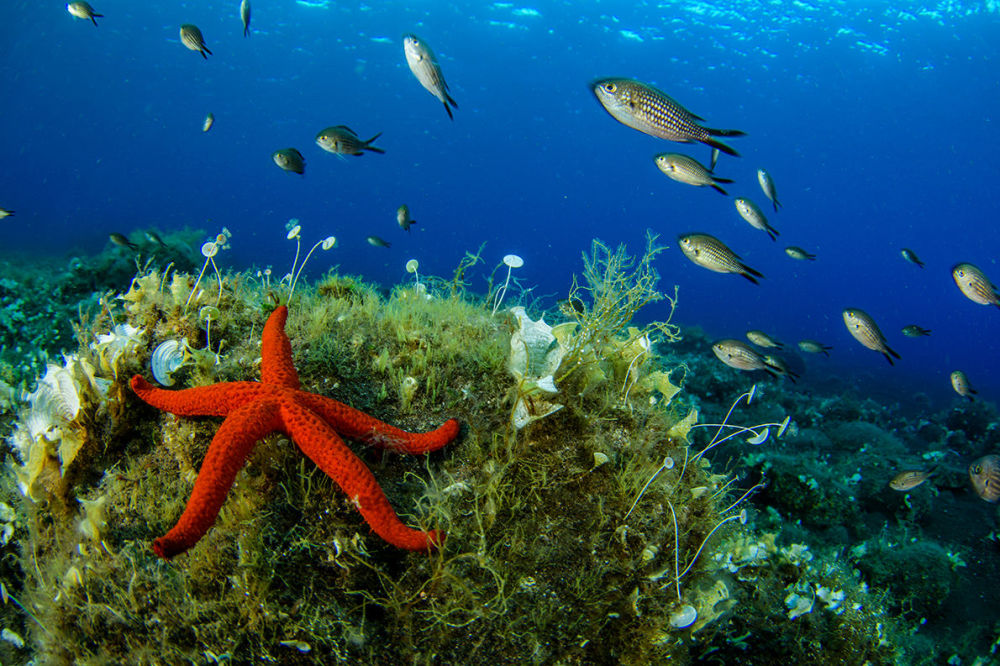 Le Vietnam et la Russie effectuent conjointement la deuxième enquête scientifique marine